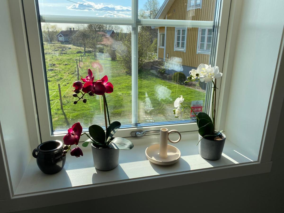 Skog Fegen Naera Ullared Vila Exterior foto